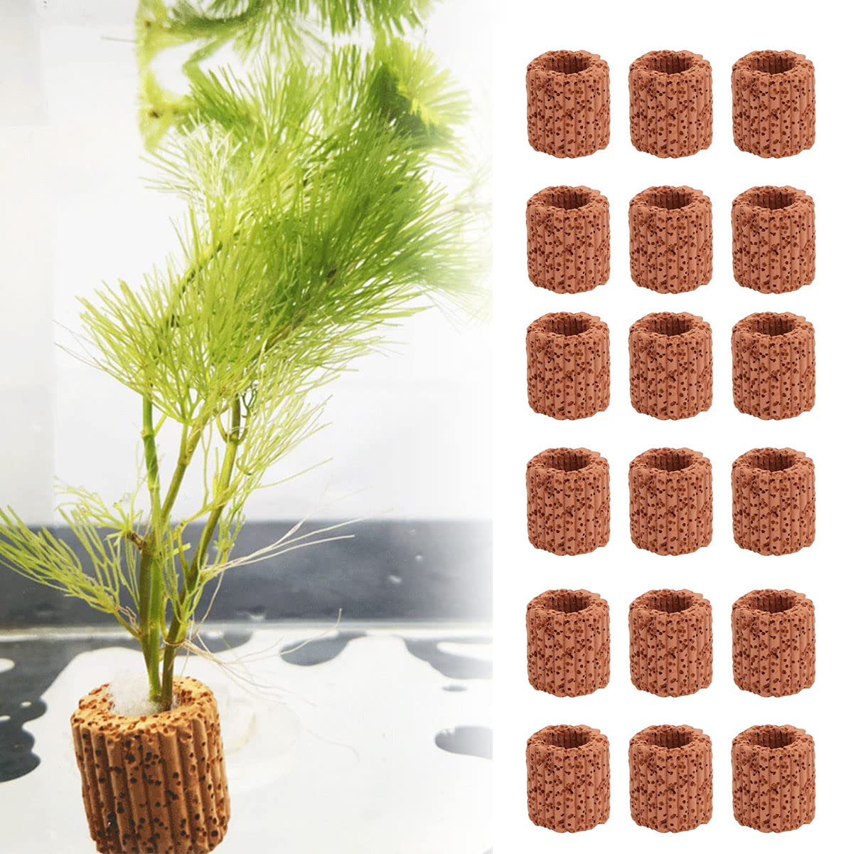 Plant Aquarium Pot - 20 Cái/lốc Thủy Sinh Nước Nhẫn