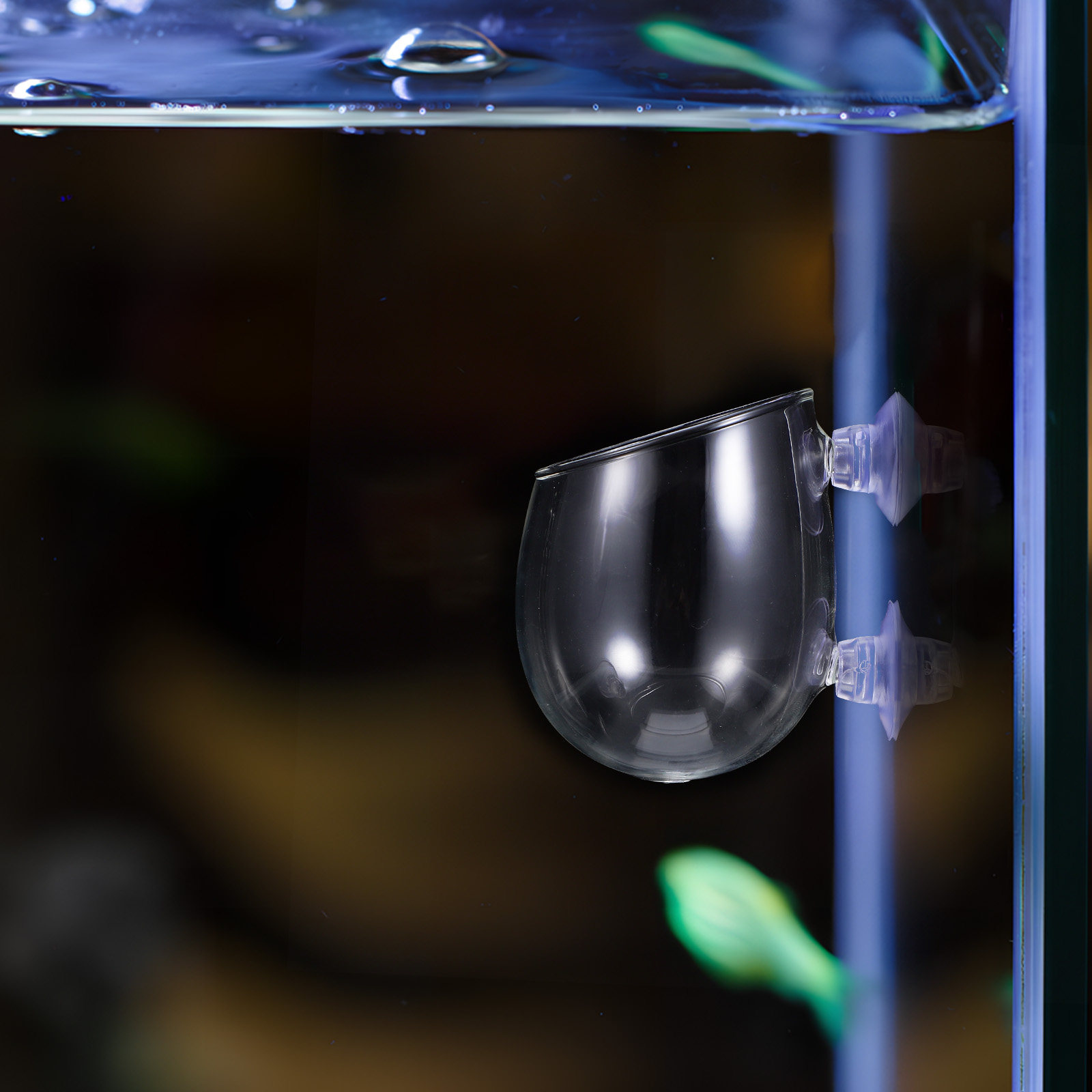 Live Plant Aquarium - Aquarium Plant Holders 2Pcs Glass Planter