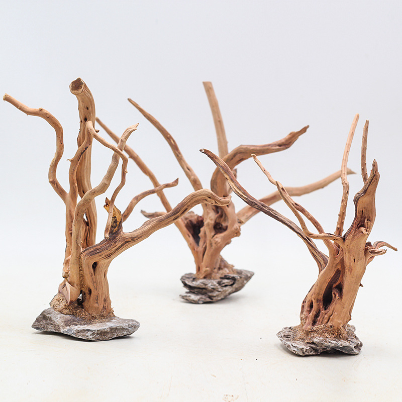 Aquarium Driftwood - 1 Bể Cá Cảnh Quan Gỗ