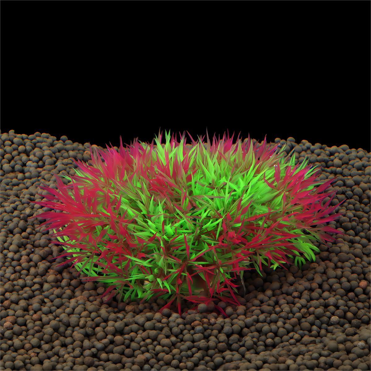 Artificial Water Grass Aquariu - đánh giá và giá Aquarium Moss