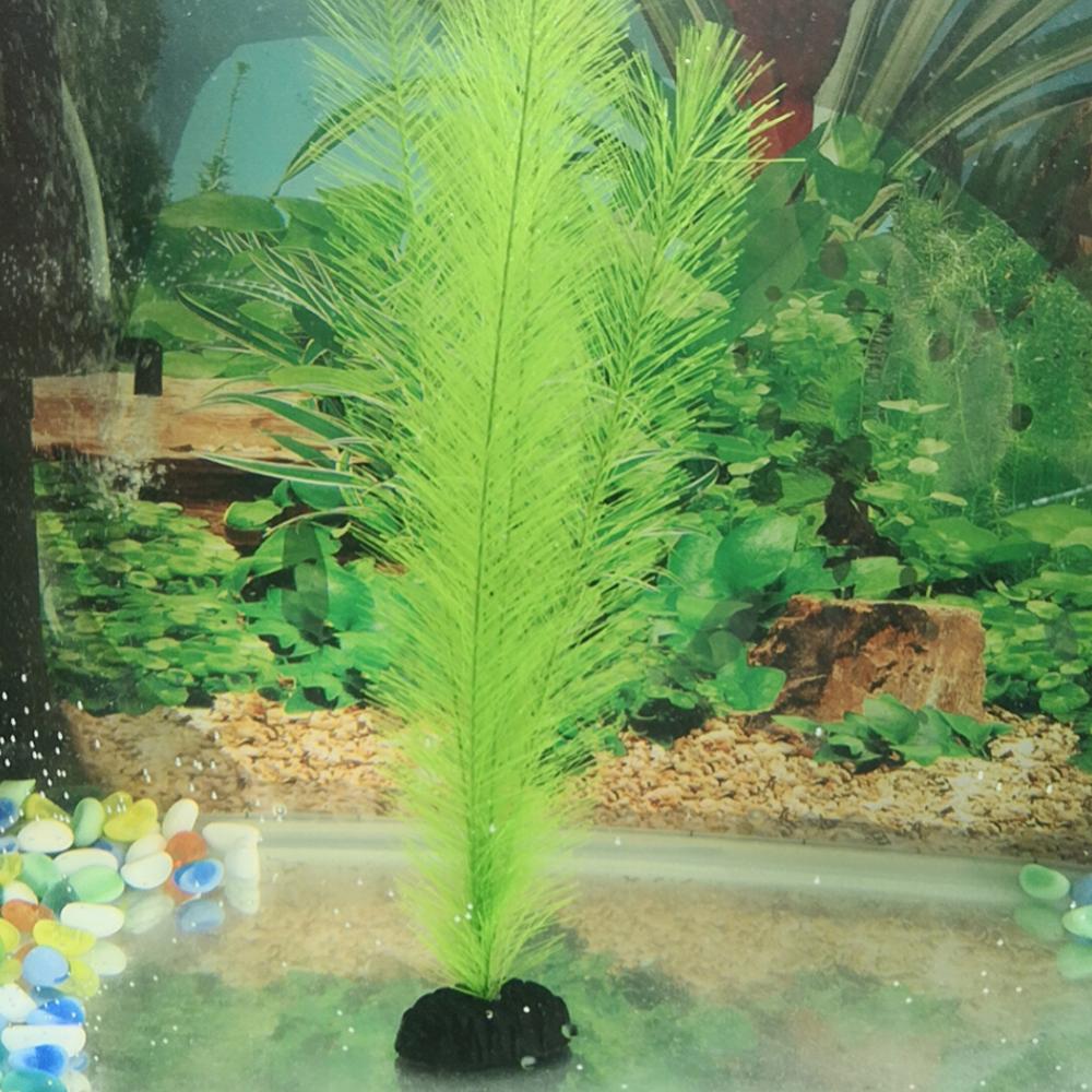 1/3Pcs 28/40cm Aquarium Fish T - đánh giá và giá Aquarium Plants Live
