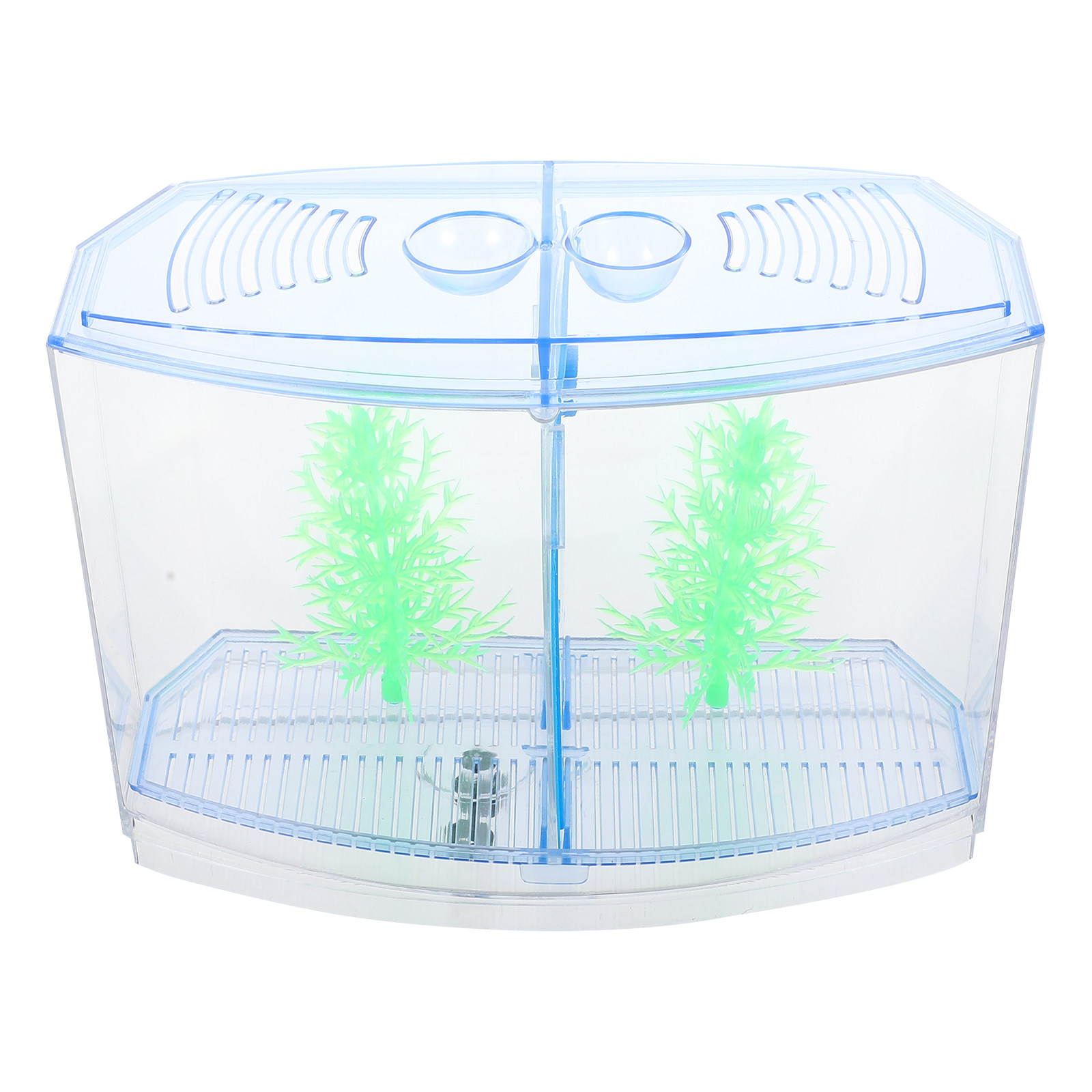1Set Clear Compact Acrylic Fis - đánh giá và giá Aquarium Plants Live