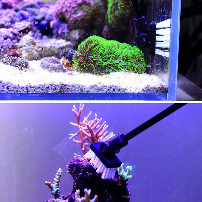 Fishing Cleaning Brush Plant T - đánh giá và giá Planted Aquarium Cleaning