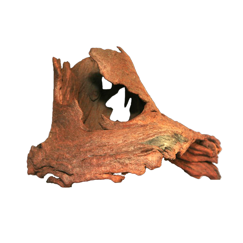 Mopani Roots Driftwood Wholesa - đánh giá và giá Aquarium Driftwood