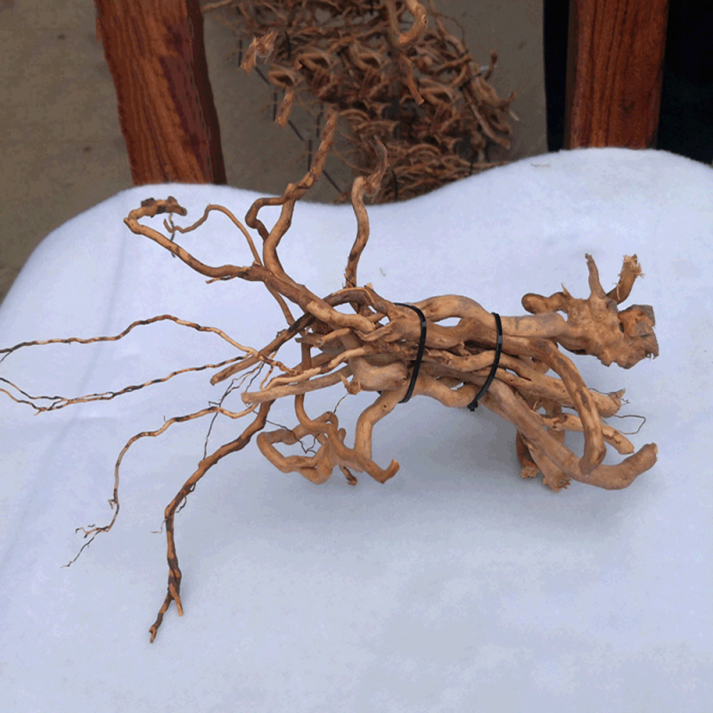 Aquarium Micro Landscape Natur - đánh giá và giá Aquarium Driftwood