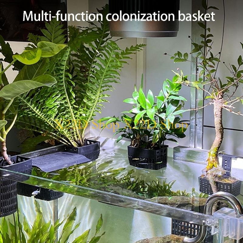 X22D Phong cách cổ xưa hiện đạ - đánh giá và giá Plant Aquarium Pot