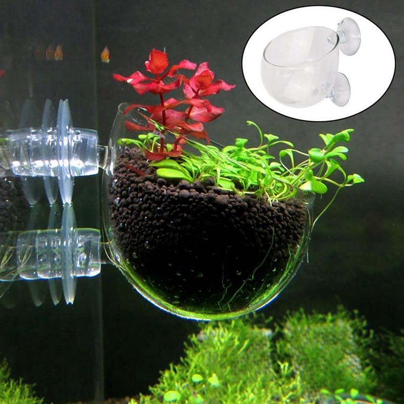 Aquarium Decorations Plant Cup - đánh giá và giá Plant Aquarium Pot