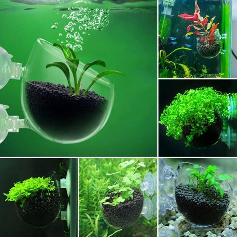 Aquarium Decorations Plant Cup - đánh giá và giá Plant Aquarium Pot