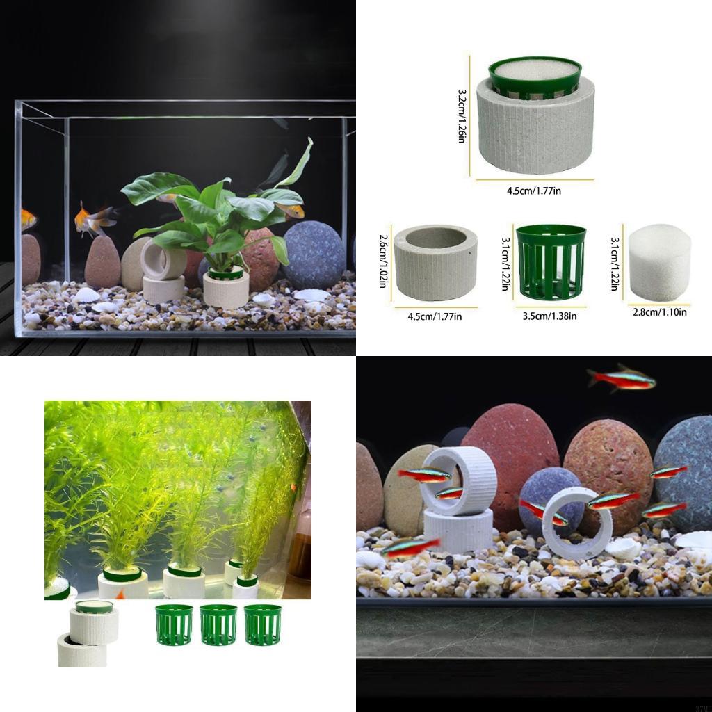 37ME 10 Chiếc Bể Cá Vật Có Cố  - đánh giá và giá Aquarium Plant Holder