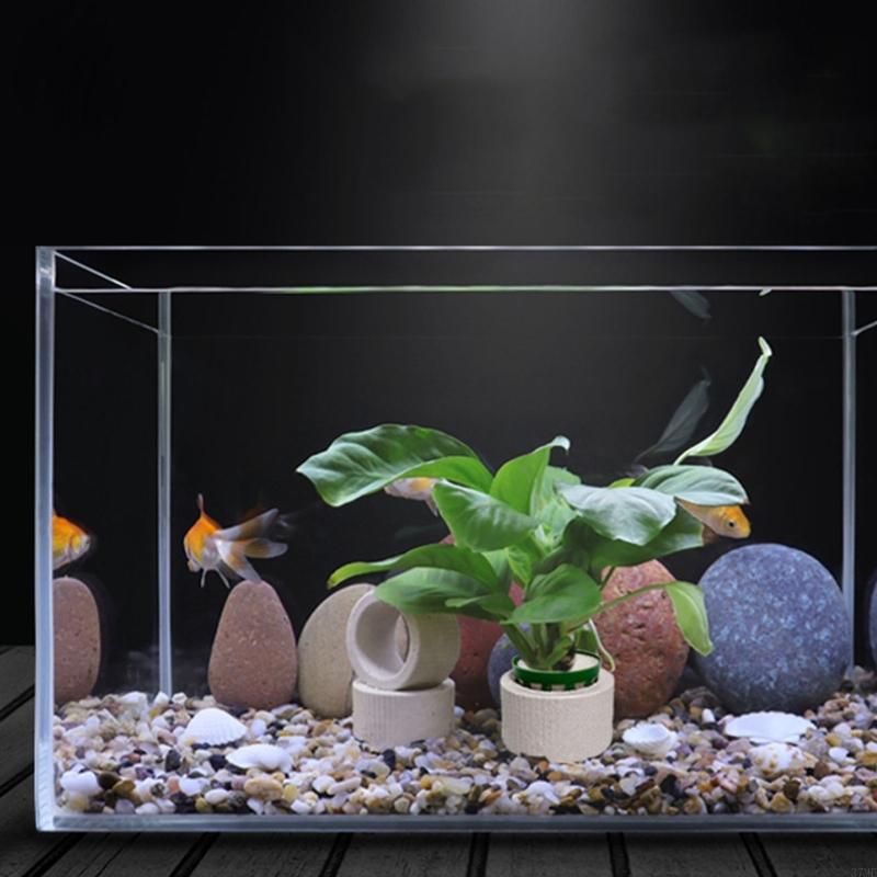 37ME 10 Chiếc Bể Cá Vật Có Cố  - đánh giá và giá Aquarium Plant Holder
