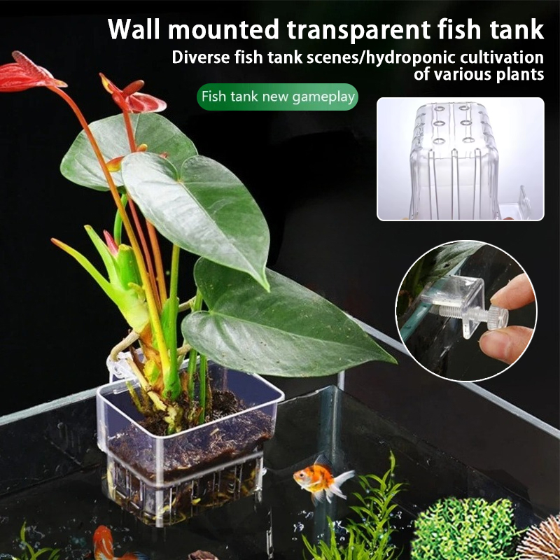Aquarium Hanging Planter Cups  - đánh giá và giá Aquarium Plants Live