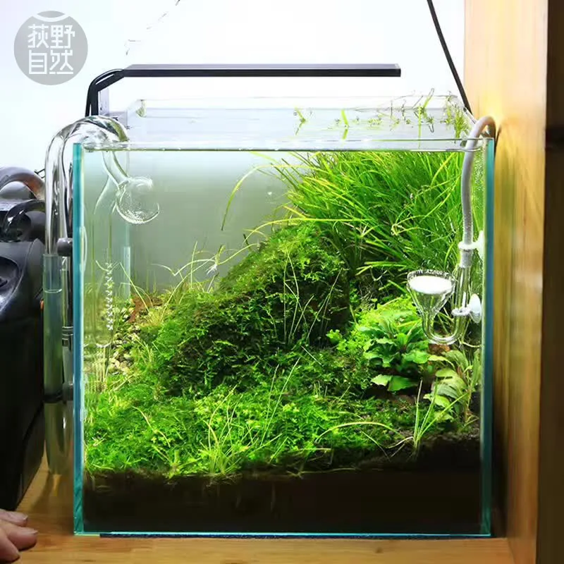 Chihiros C Series ADA Style Pl - đánh giá và giá Aquarium Plant Light