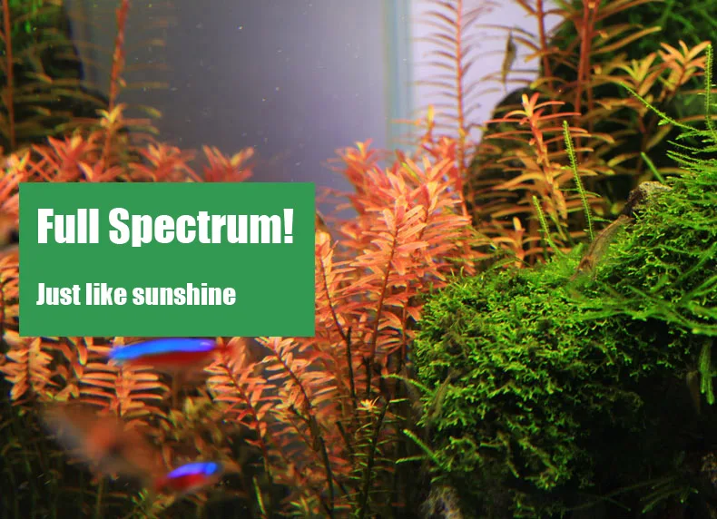 Chihiros C Series ADA Style Pl - đánh giá và giá Aquarium Plant Light