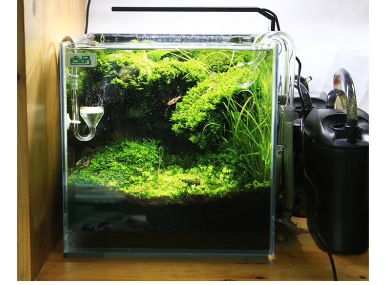 Chihiros C Series ADA Style Pl - đánh giá và giá Aquarium Plant Light