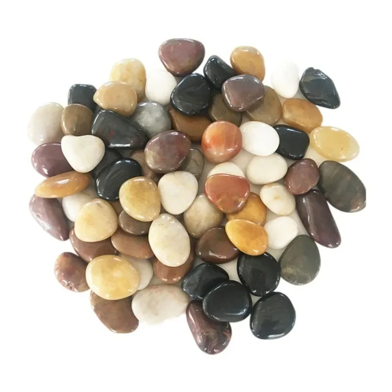 250g 500g Natural Aquarium Dec - đánh giá và giá Aquarium Moss