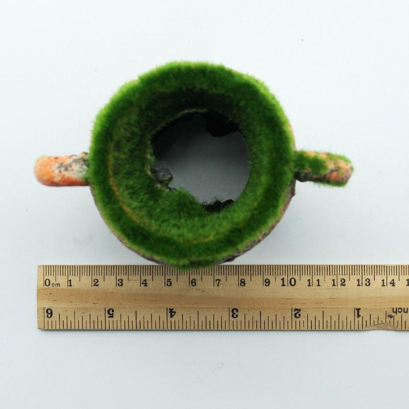 1pc Resin Vase with Moss Aquar - đánh giá và giá Aquarium Moss