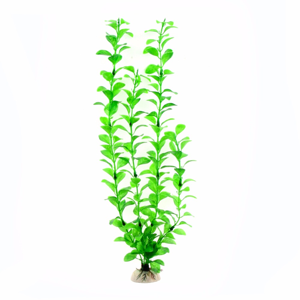Vật Trang Trí Phụ Kiện Hồ Cá N - đánh giá và giá Aquarium Plants Live