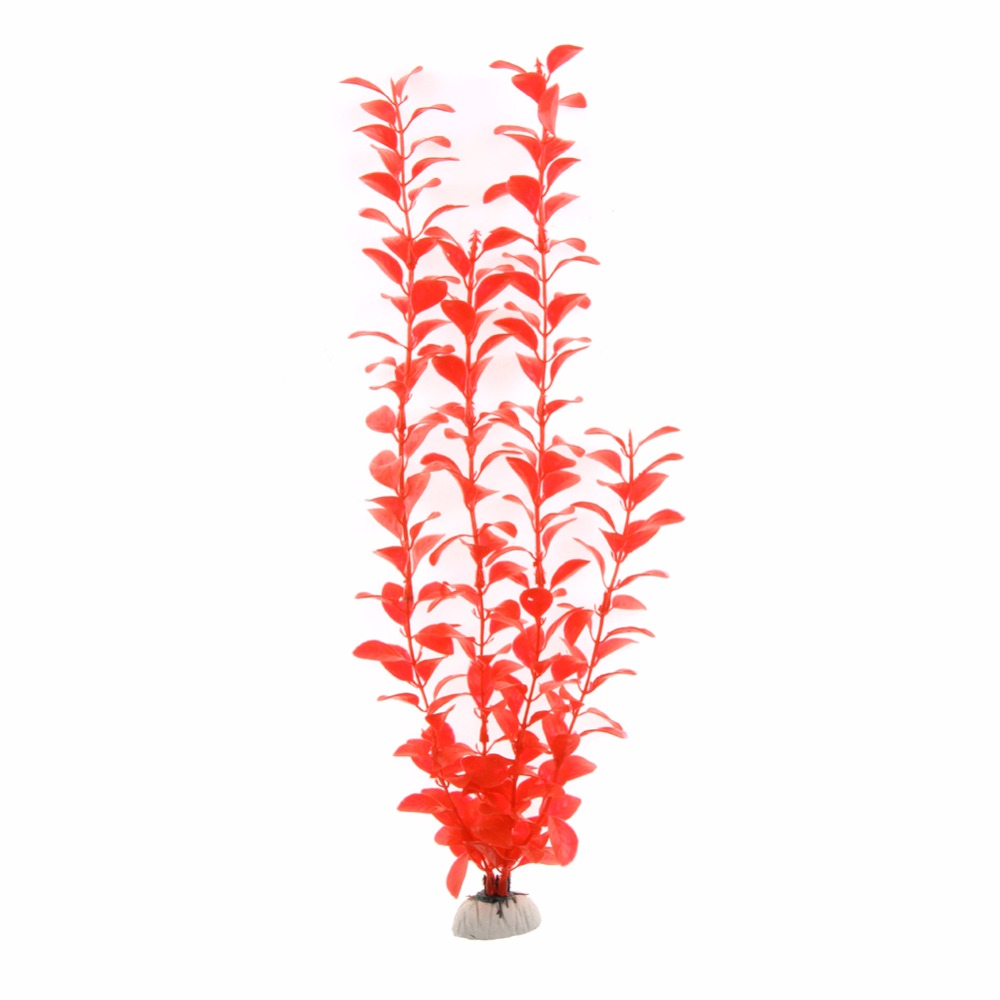 Vật Trang Trí Phụ Kiện Hồ Cá N - đánh giá và giá Aquarium Plants Live
