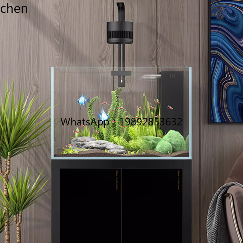 YGG  household living room laz - đánh giá và giá Aquarium Plants Live