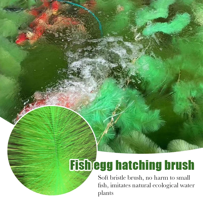 60Cm/100Cm Artificial Aquarium - đánh giá và giá Live Plant Aquarium