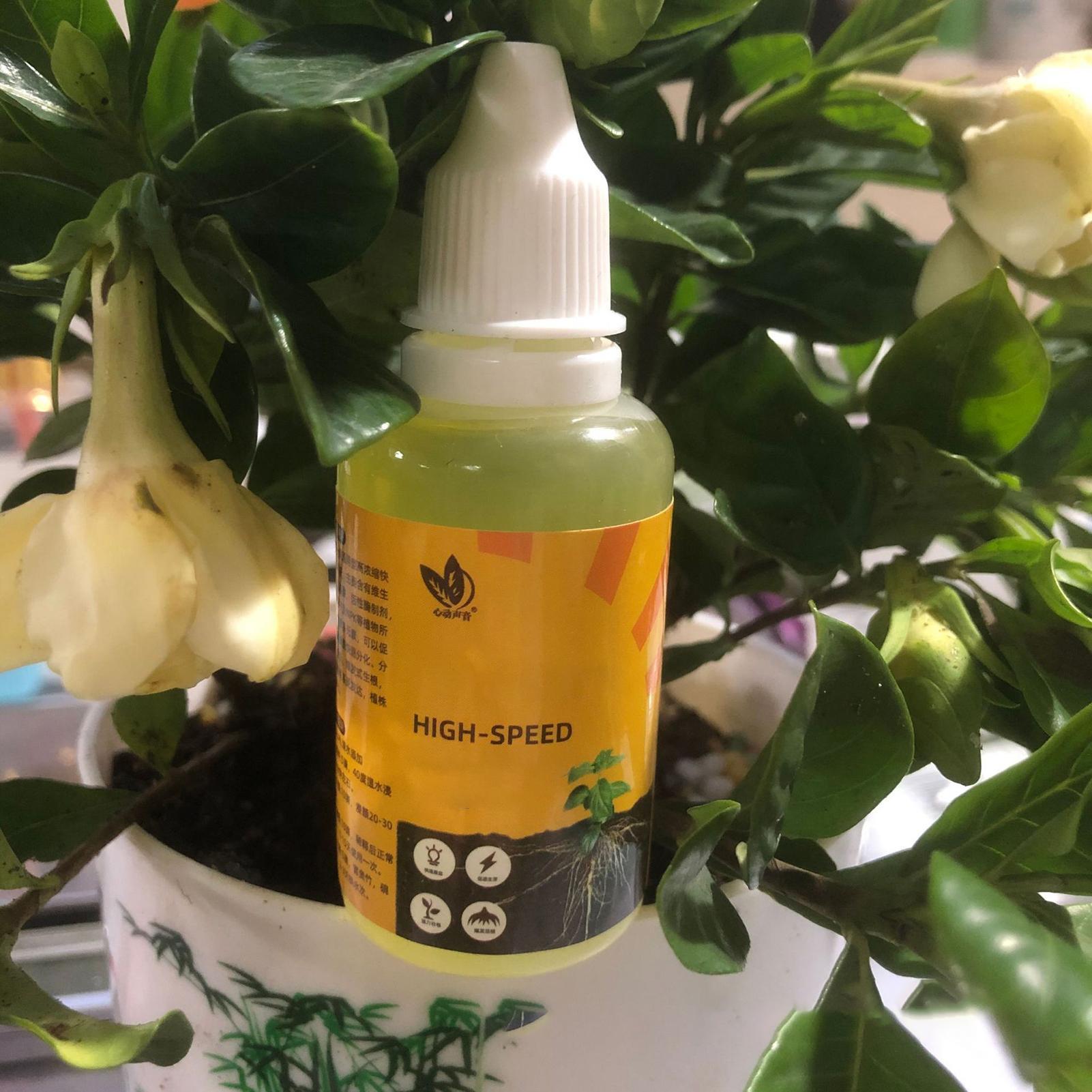 50ml Plant Rooting Stimulator  - đánh giá và giá Aquarium Fertilizer