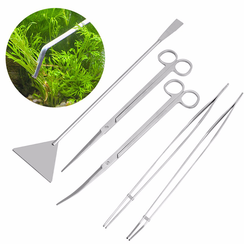 Professional Aquarium Maintena - đánh giá và giá Aquarium Plants Live