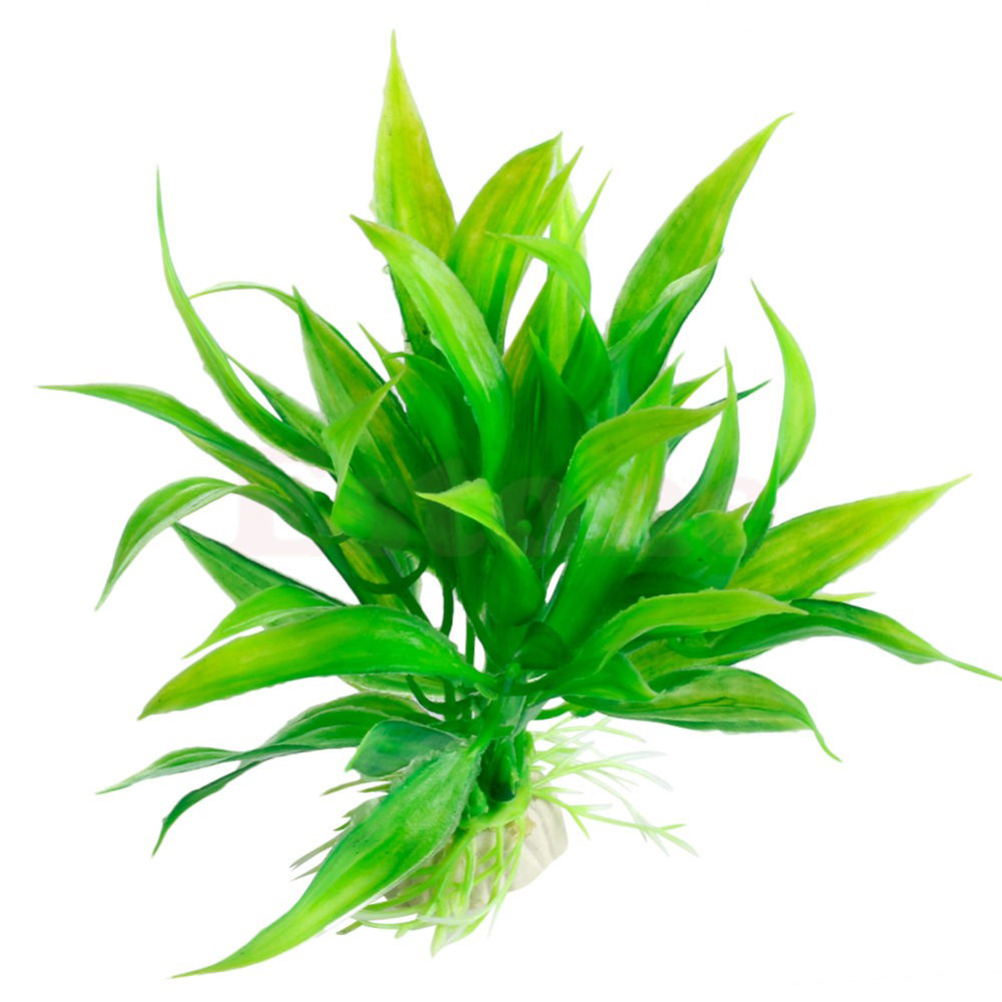 15CM/10CM Dưới Nước Nhân Tạo T - đánh giá và giá Aquarium Plants Live