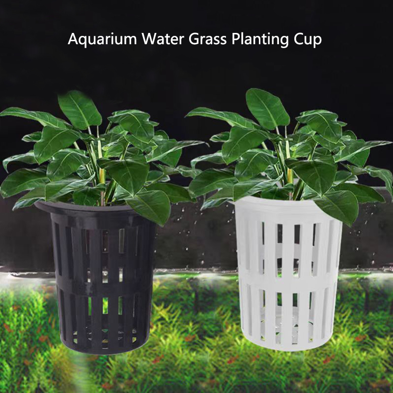 1/3Pcs Aquarium Plant Basket W - đánh giá và giá Aquarium Plant Holder