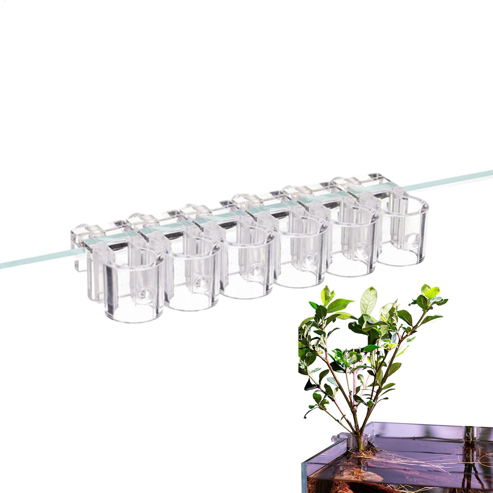 Aquarium Plant Basket Transpar - đánh giá và giá Plant Aquarium Pot