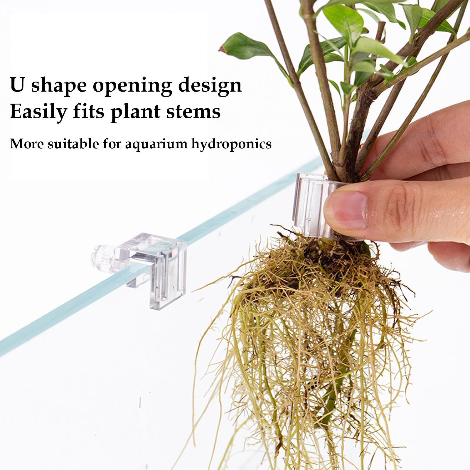 Aquarium Plant Basket Transpar - đánh giá và giá Plant Aquarium Pot