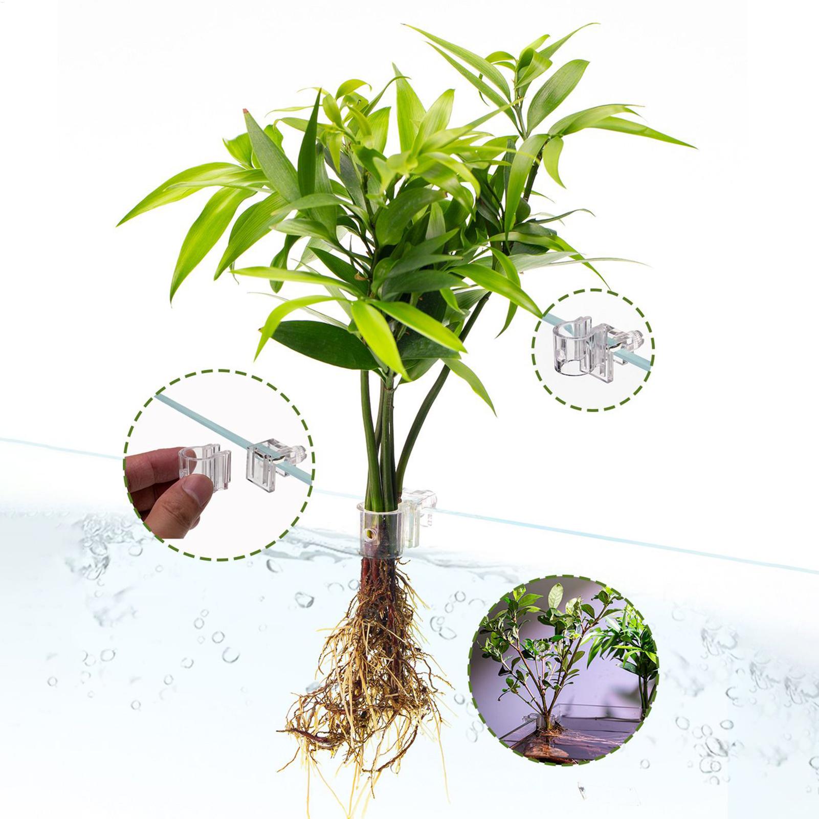 Aquarium Plant Basket Transpar - đánh giá và giá Plant Aquarium Pot