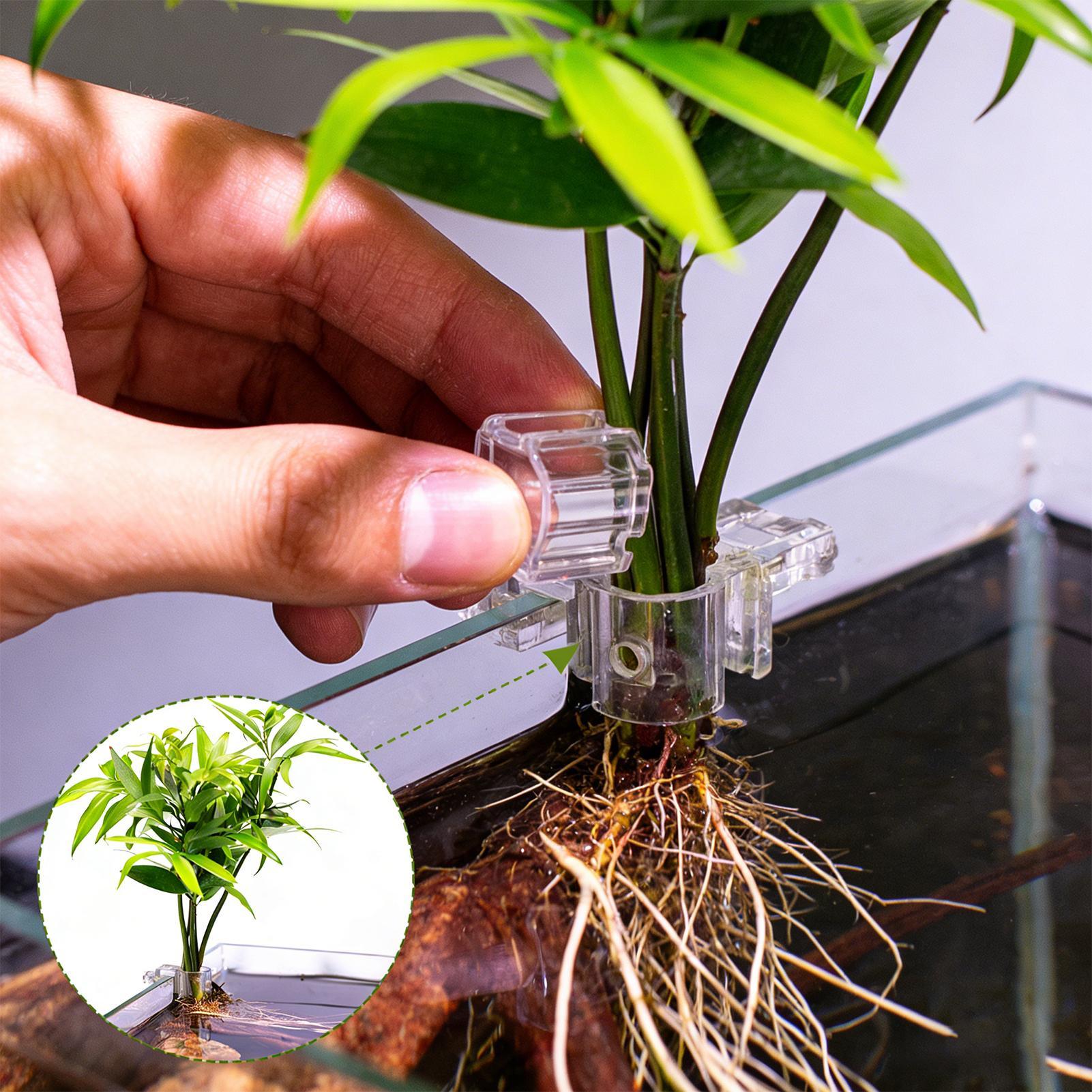 Aquarium Plant Basket Transpar - đánh giá và giá Plant Aquarium Pot