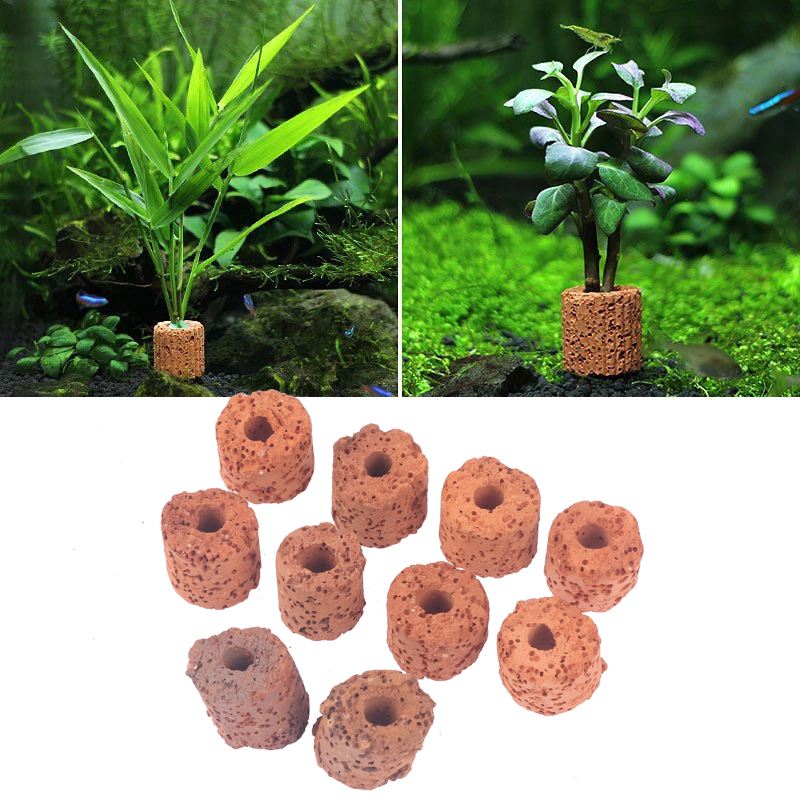 ^10Pcs Plant Ring Aquarium Fix - đánh giá và giá Aquarium Plants Live