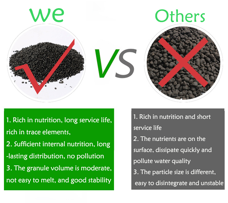 Bể Cá Cảnh Vật Có Hạt Đất Fish - đánh giá và giá Aquarium Fertilizer