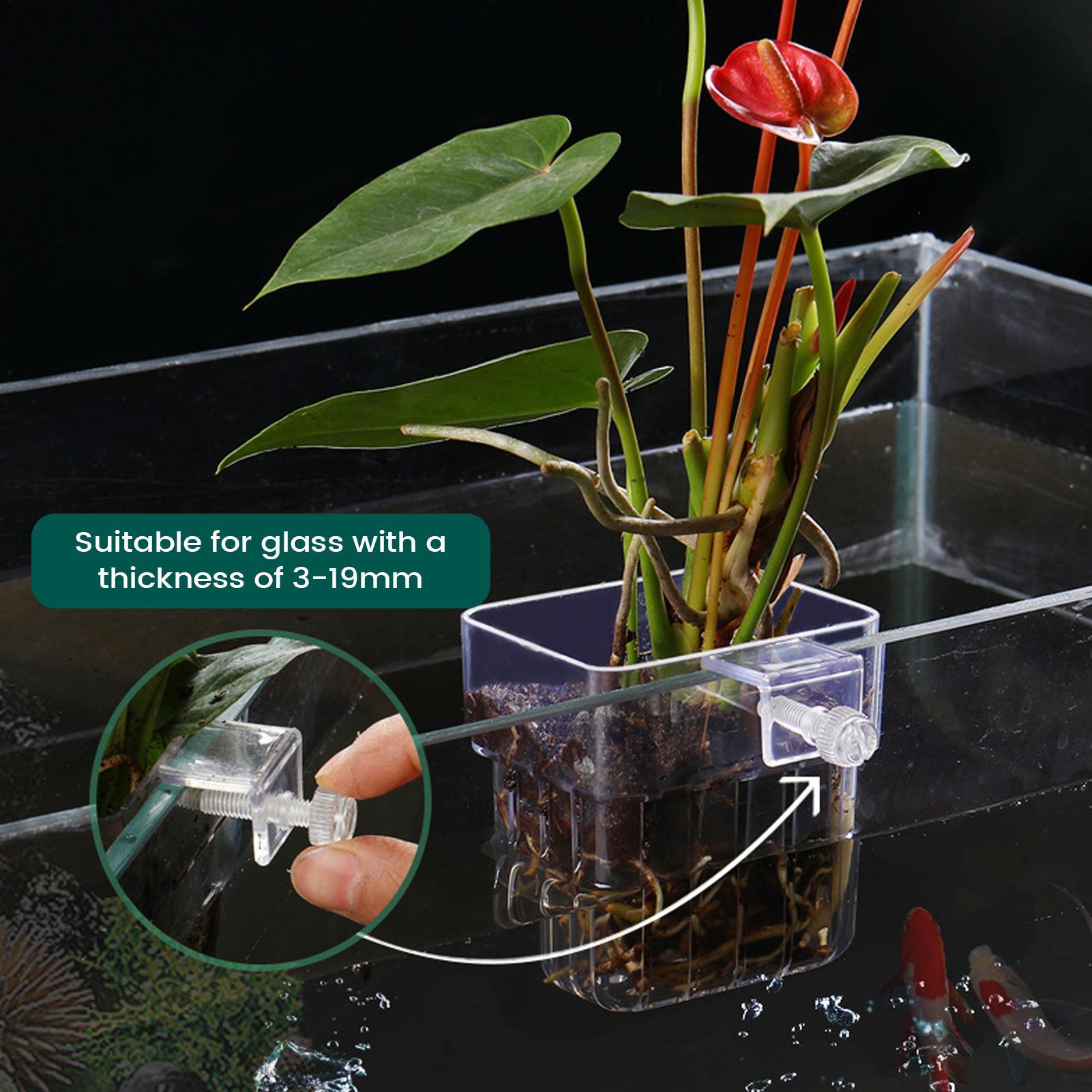 Aquarium Plant Holder Transpar - đánh giá và giá Plant Aquarium Pot