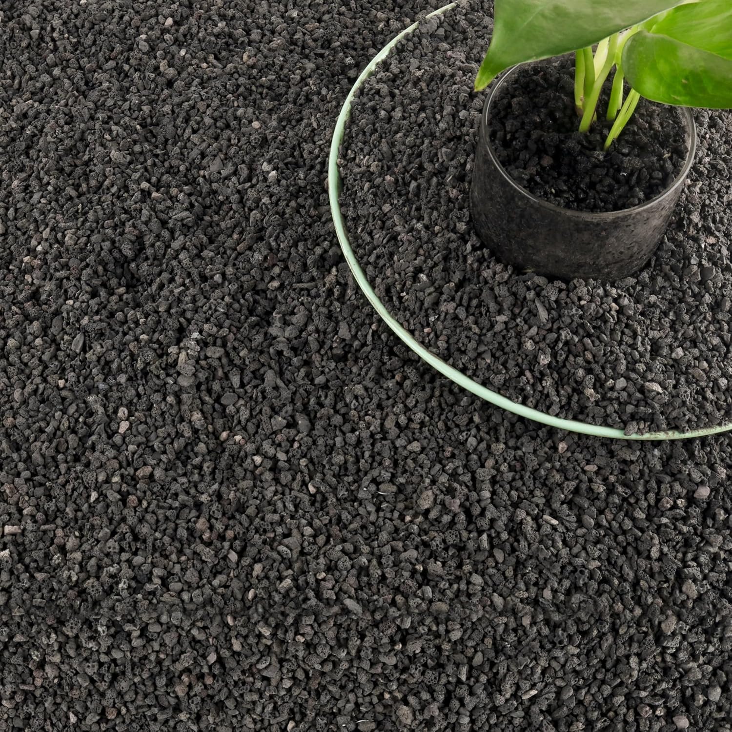 3lb Black Aquarium Filter Medi - đánh giá và giá Aquarium Plant Substrate