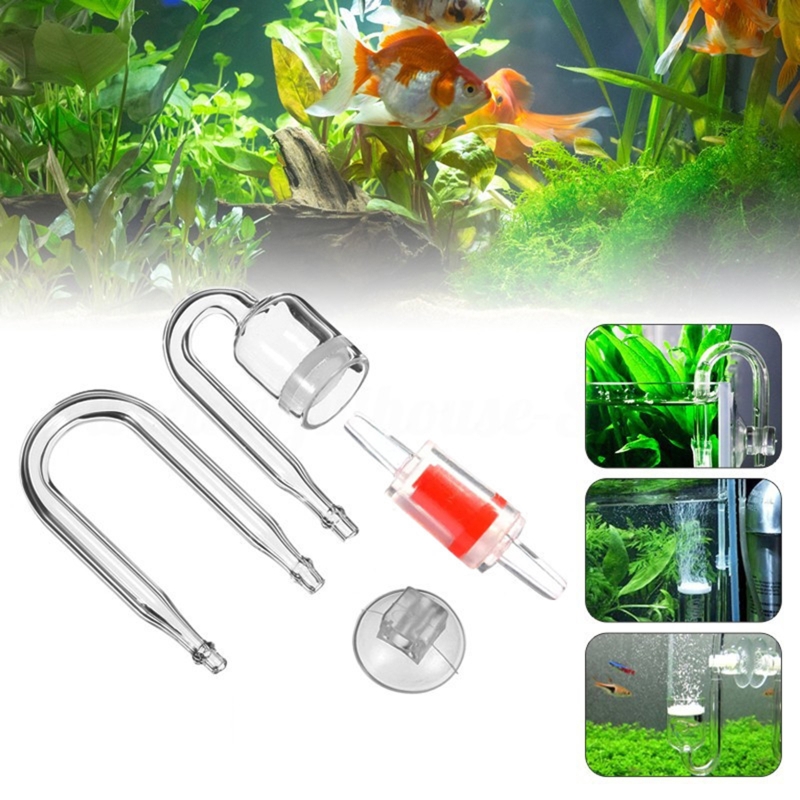 4pcs Set DIY CO2 Diffuser For  - đánh giá và giá Aquarium Plants Live