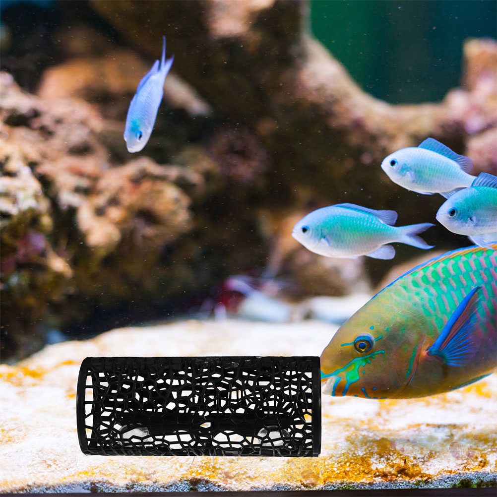Aquarium Fish Tank Decoration  - đánh giá và giá Aquarium Moss