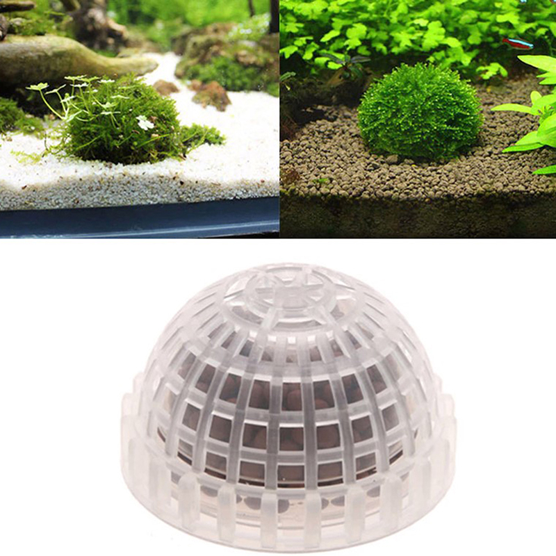 【B】Aquatic Pet Supplies Decora - đánh giá và giá Live Plant Aquarium