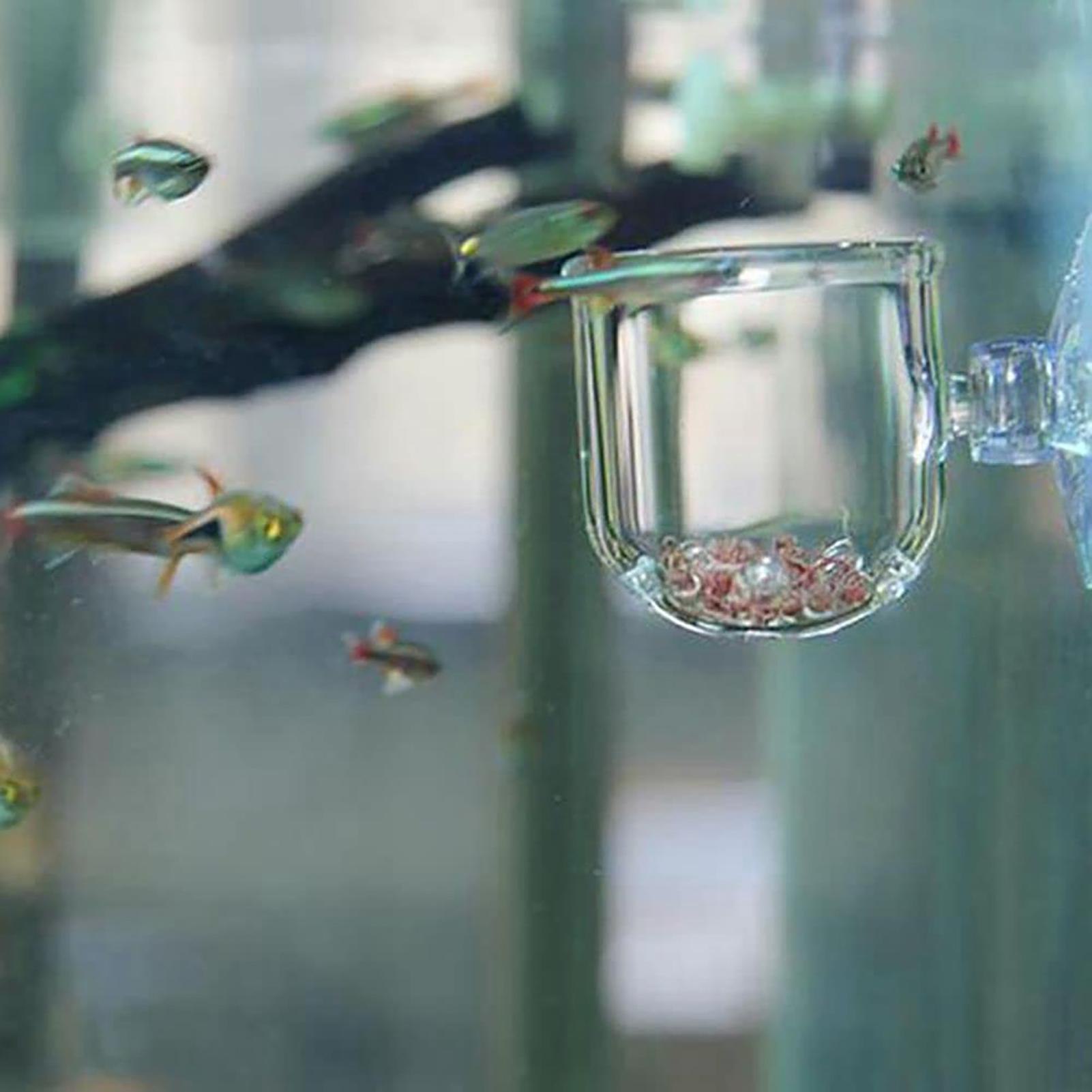 Acrylic Aquatic Plant Cup Aqua - đánh giá và giá Plant Aquarium Pot