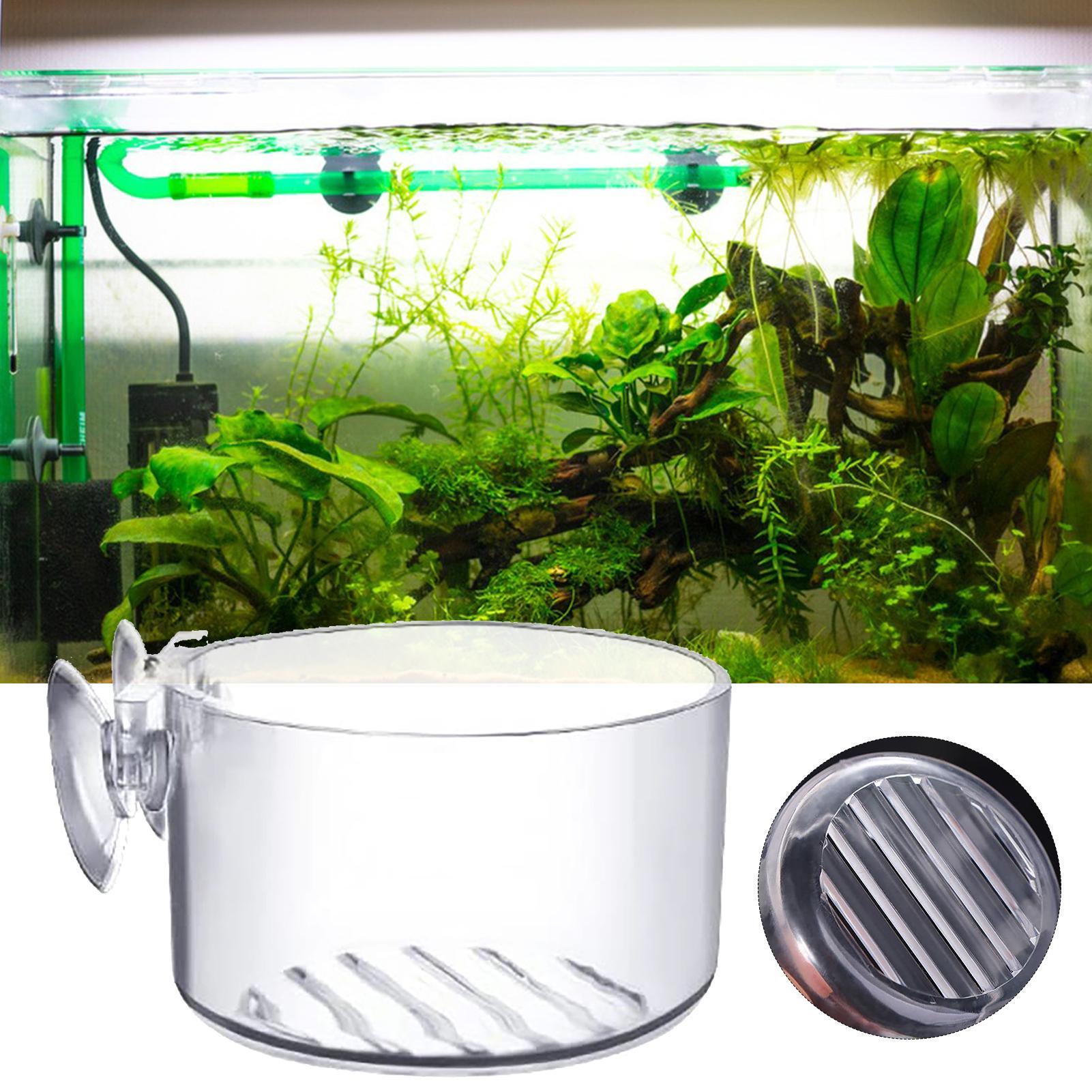 Acrylic Aquatic Plant Cup Aqua - đánh giá và giá Plant Aquarium Pot