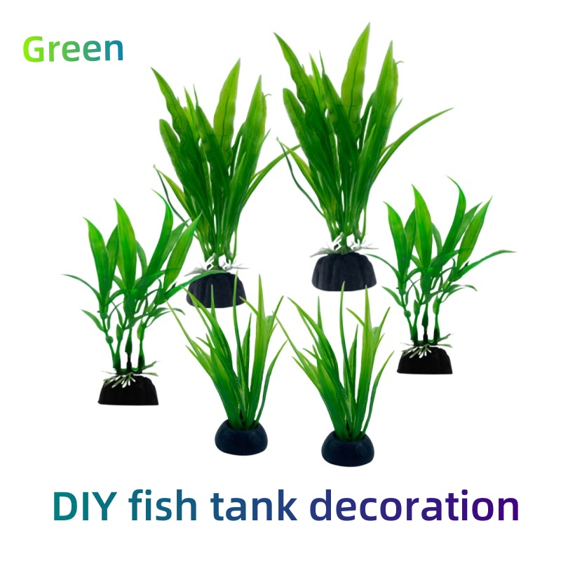 6pcs Packs Aquarium Plants, Fi - đánh giá và giá Aquarium Plants Live
