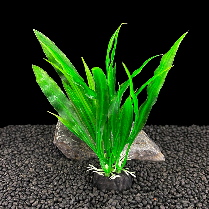 6pcs Packs Aquarium Plants, Fi - đánh giá và giá Aquarium Plants Live