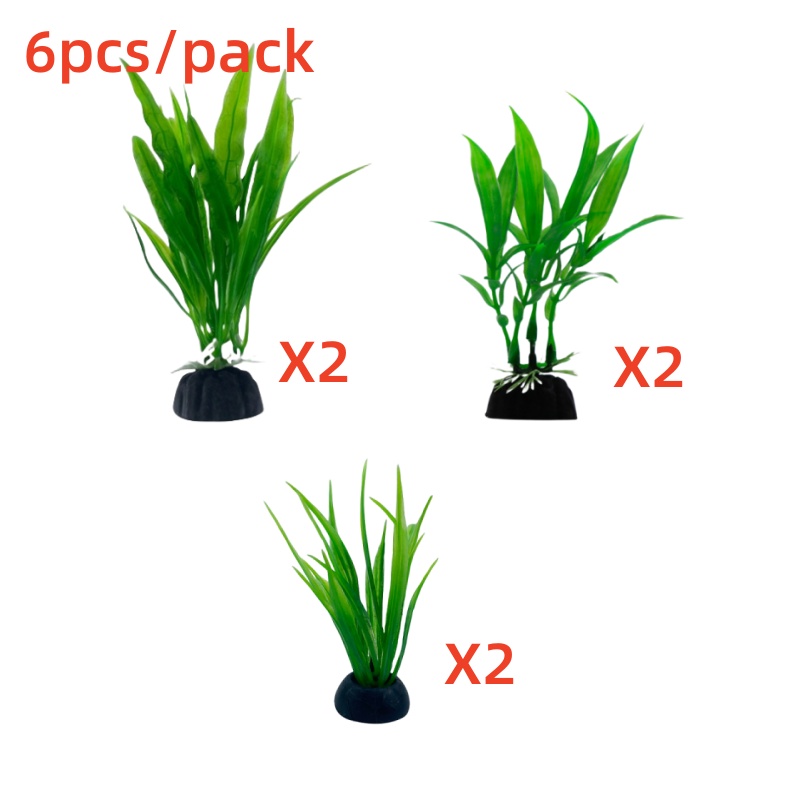 6pcs Packs Aquarium Plants, Fi - đánh giá và giá Aquarium Plants Live